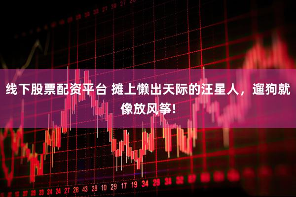 线下股票配资平台 摊上懒出天际的汪星人，遛狗就像放风筝!