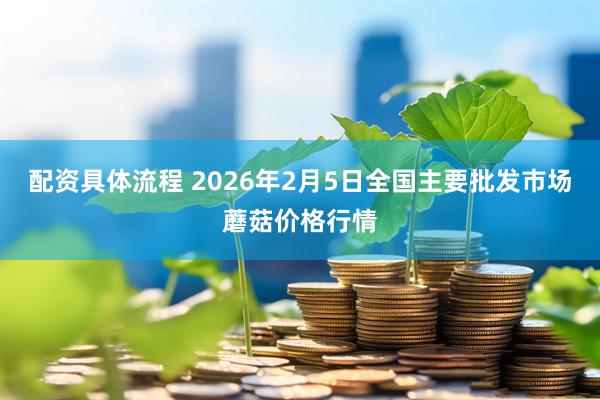 配资具体流程 2026年2月5日全国主要批发市场蘑菇价格行情