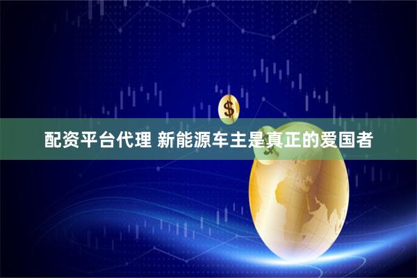 配资平台代理 新能源车主是真正的爱国者